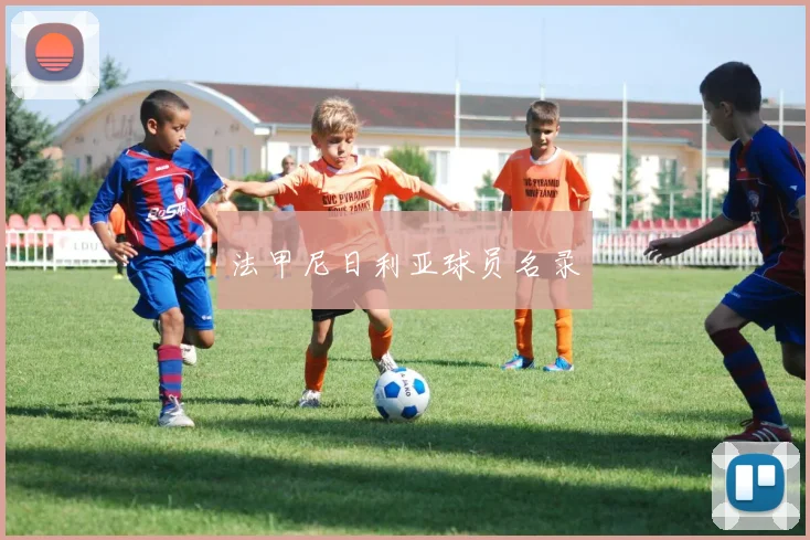 法甲尼日利亚球员名录