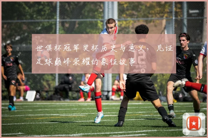 世俱杯冠军奖杯历史与意义，见证足球巅峰荣耀的象征故事